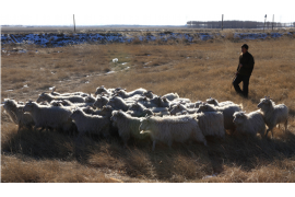 万年专业讨债公司有哪些核心服务？